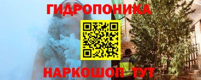 Альфа ПВП Дубна