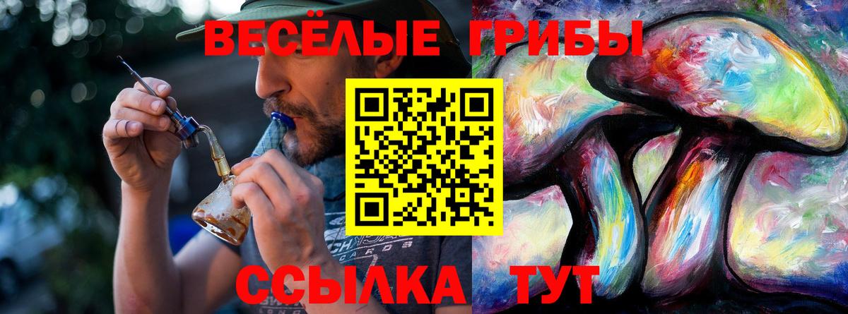 купить  цена  Вход с VPN  Зима  Псилоцибиновые грибы Magic Shrooms  Галлюциногенные грибы Psilocybine cubensis 