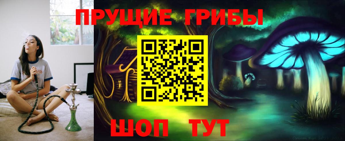 Галлюциногенные грибы GOLDEN TEACHER Зима